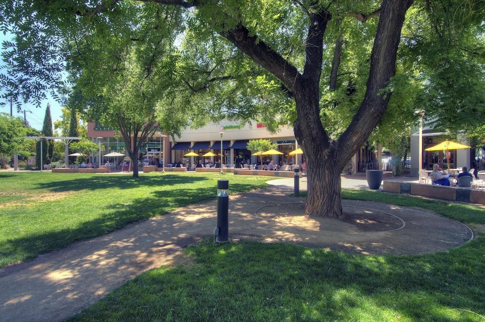 Park & 3* Davis