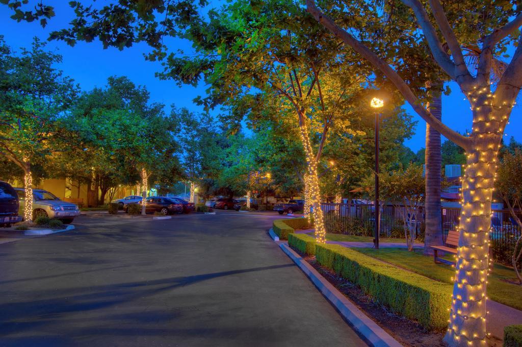 Park &