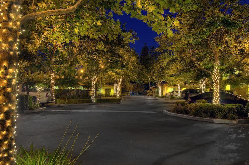 Park & 3* Davis